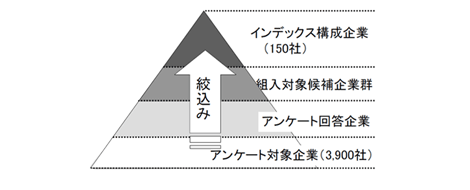 調査・評価のプロセス